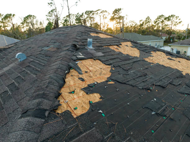 Best Hot Roofs  in Dunnellon, FL
