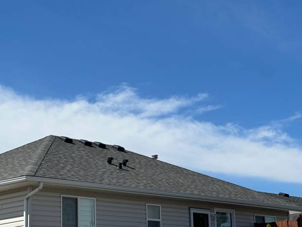 Best Asphalt Shingles Roofing  in Dunnellon, FL